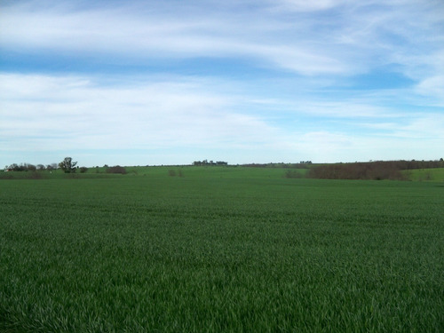 430 Has Agrícolas En Colonia, Próximas Al Puerto De Palmira