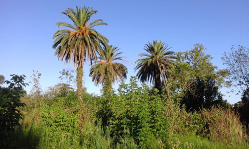 Terreno Venta Paso De La Arena Parque Tomkinson Ideal Emprendimiento O Proyecto Consulte Financiado Permuta