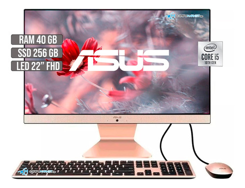 Todo En Uno Aio Asus Intel Core I5 10210u Ssd 256gb Ram 40gb