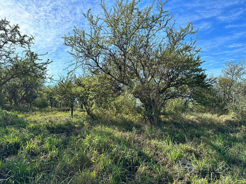 Imagen 4 de 7 de Terreno En Venta El Terron - Mendiolaza - Córdoba