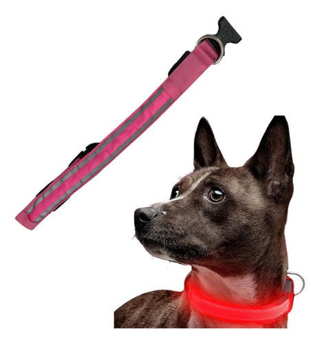 Collar Recargable Led Perro Paseo Nocturno Luminoso Led Usb