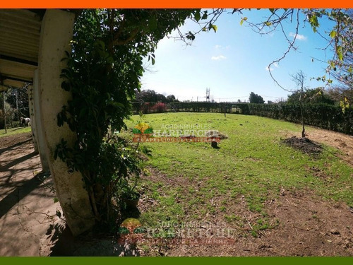 Imagen 18 de 29 de Chacra En Venta Melilla 3 Has