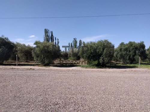 Imagen 3 de 13 de Lote En Venta - Maipu - Barrio Ecos De Olivares - Id: 39553