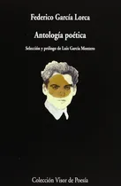 Comprar Antología Poética - Federico García Lorca - Visor Editorial
