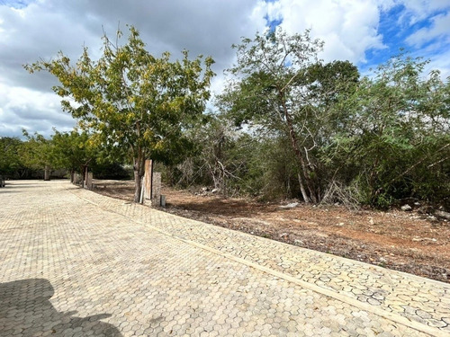 Imagen 22 de 28 de Precio Promoción . Terreno En Venta En Privada Temozón Casa