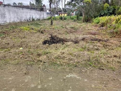 Imagem 3 de 7 de Terreno De 260 Metros No Gaivota Em Itanhaém Litoral Sul Sp