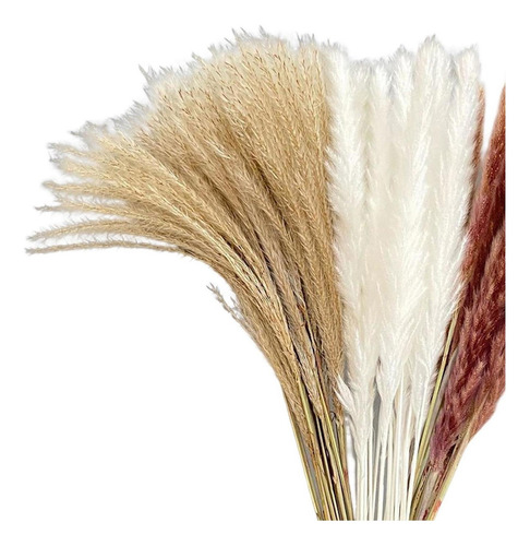 Mesa De Sala Grande, 60 Unidades, Pampa Dry Grass, Fra
