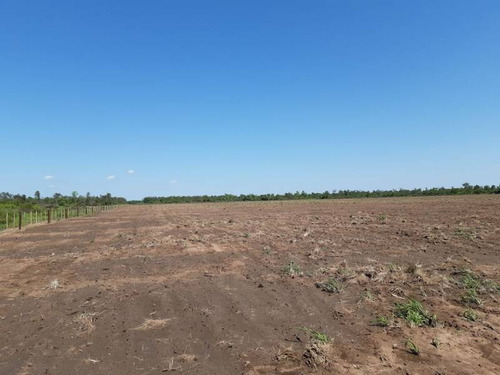 Imagen 4 de 6 de Campos O Chacras Venta Avia Terai