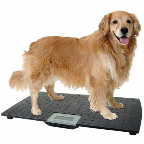 Bascula Veterinaria Digital Redmon 100 Kg Max Envío Gratis