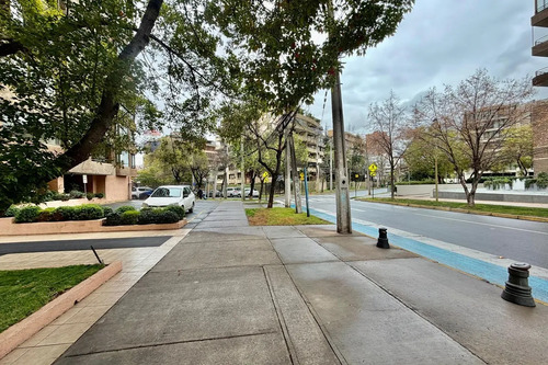 Venta De Estacionamiento, El Director.