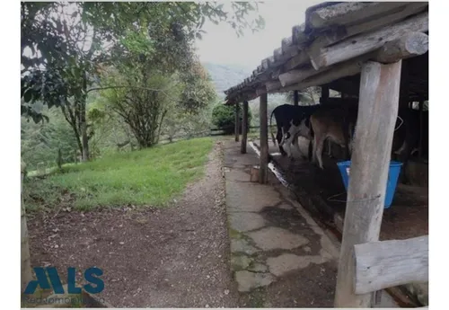 Finca Independiente En Rionegro - El Tablazo(mls#249941)