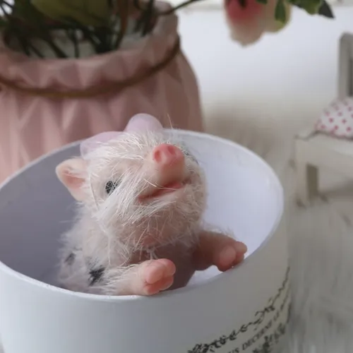 Reborn pig on sale doll