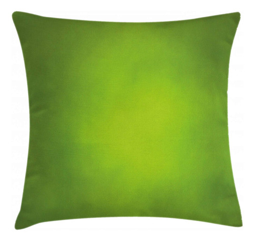 Ambesonne Funda De Cojin Color Salvia, Fondo Verde Abstracto