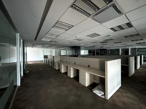 Renta Oficina - Lomas De Chapultepec - Piso 2 - 589 - M2
