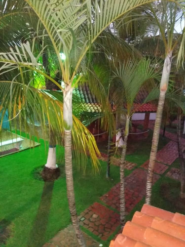 Imagen 3 de 12 de Se Vende Apartamento En Ciudad Flamingo. Falcon