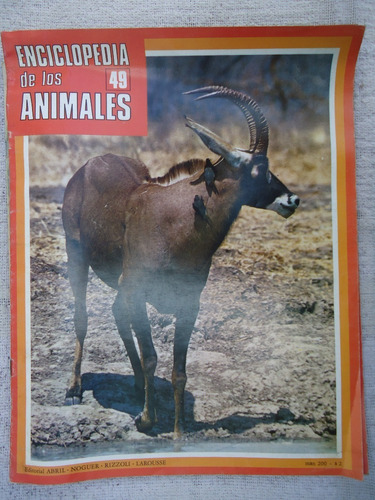 Enciclopedia De Los Animales Nº 49  Anesa - Noguer - Rizzoli