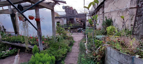 Imagen 6 de 7 de Terreno - Wilde