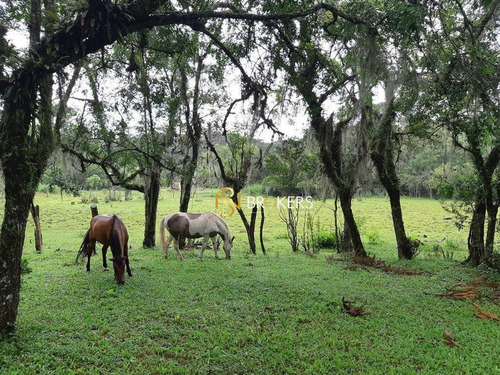 Alugo/vendo Chácara Araucária Moradia E Para Lazer - Ch0003