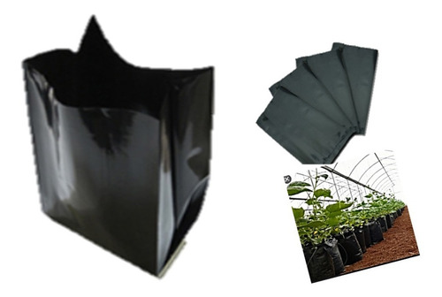 Bolsas Negras Invernadero Cultivo Siembra Plantas 1kg 40 X40