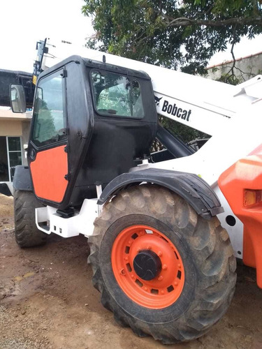 Bobcat
