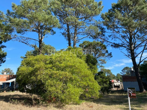 Imagen 14 de 16 de Hermoso Terreno, Zona Golf. Villa Gesell