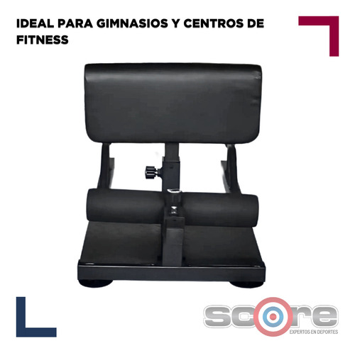Sissy Squat Profesional Comercial Sentadilla Gimnasios