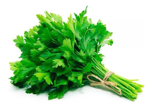Semillas Aromaticas Ecoproductos Perejil Criollo