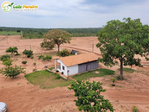 Imagem 10 de 15 de Fazenda À Venda Em Ribas Do Rio Pardo - Ms - 110 Hectares (pecuária) - 2122