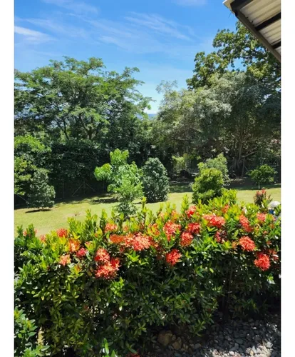 Venta De Finca En Sopetran