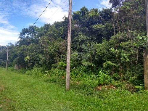 Imagem 3 de 7 de Terreno - Venda - Jd Palmeiras - Itanhaem - Ita2798