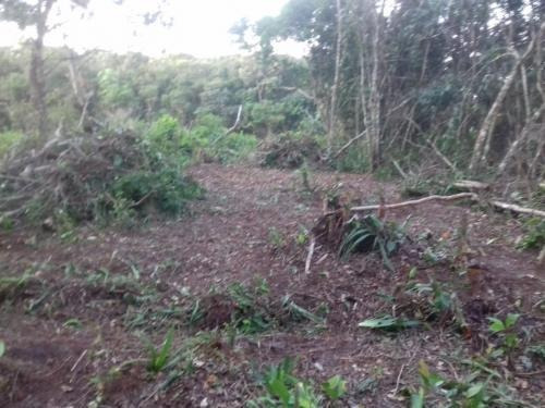 Terreno A 650 Metros Do Mar Em Itanhaém - 6590