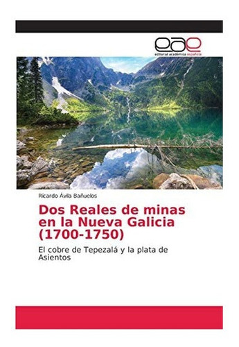 Libro: Dos Reales Minas Nueva Galicia (1700-1750): E&..