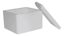 Comprar Caixa Isopor 250g Pequena  Pu002Fsorvete Vacina Medicamento Cu002F10