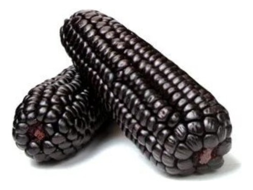 60 Sementes De Milho Preto Crioulo Peruano.