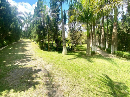 Imagem 16 de 21 de 01- Chácara Pronta Para Moradia A 200 Metros Asfalto Com 3 Dormitórios !