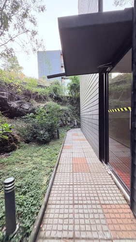 Departamento Soleado En Arriendo Amoblado