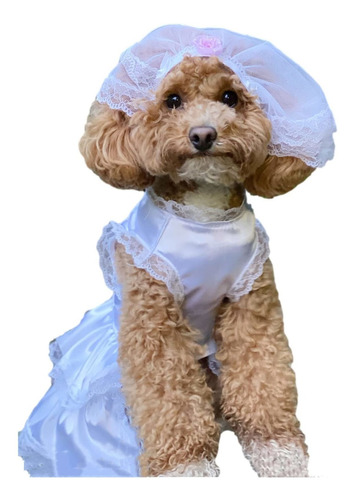 Apott 2 Piezas De Vestido Blanco Para Perro, Boda Con Velo,.