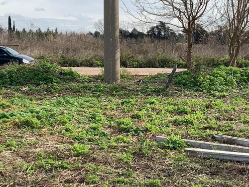 Imagen 6 de 7 de Terreno En Venta De 300m2 Ubicado En La Plata