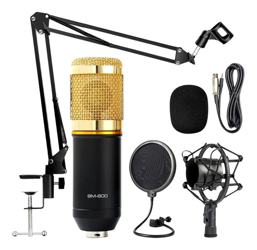 Kit Microfone Condensador Profissional Estúdio Bm800