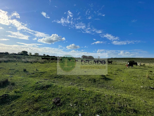 Campo En Venta De 53 Has. Con Vivienda Y Arroyo, Prox Minas