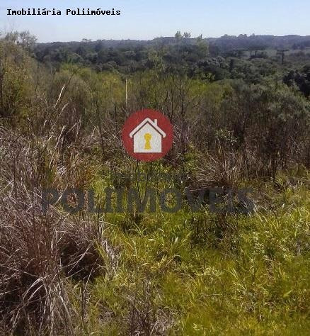 Imagem 10 de 11 de Chácara Para Venda Em Araucária, Lagoa Grande - Ch0695_2-1188144