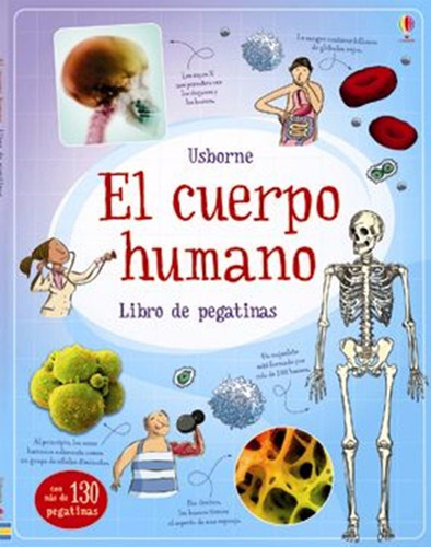 El Cuerpo Humano En Pegatina Usborne 130 Stickers