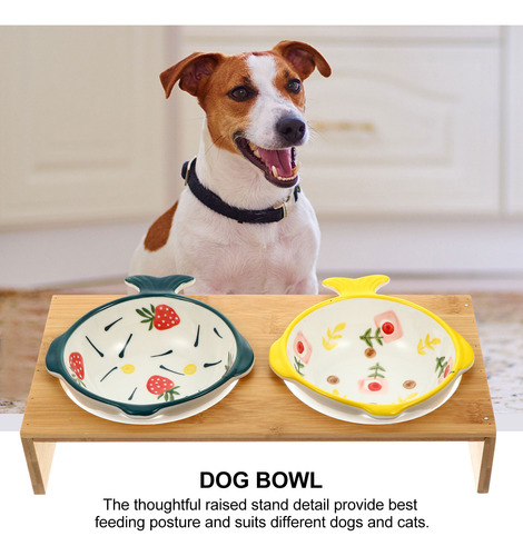 Cuenco De Cerámica Para Gatos Elevated Cat Bowls