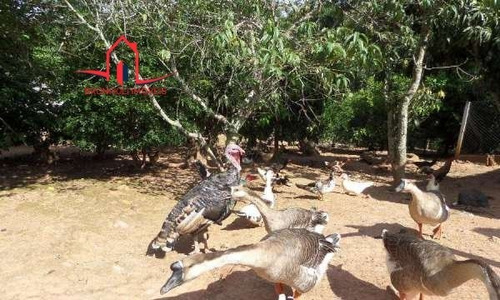 Chácara A Venda No Bairro Atibaia Vista Da Montanha Em - 3480-1