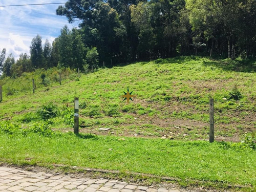 Imagem 1 de 3 de Terreno Em Canela - 774