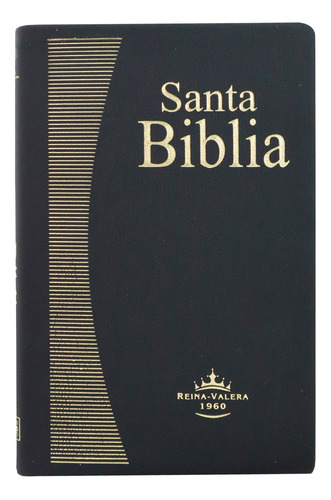 Santa Biblia Reina Valera 1960 C/concordancia Fina Negra