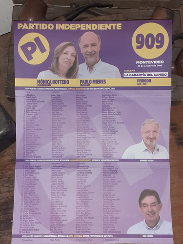 Elecciones Nacionales 2019 Lista 909 Partido Independiente