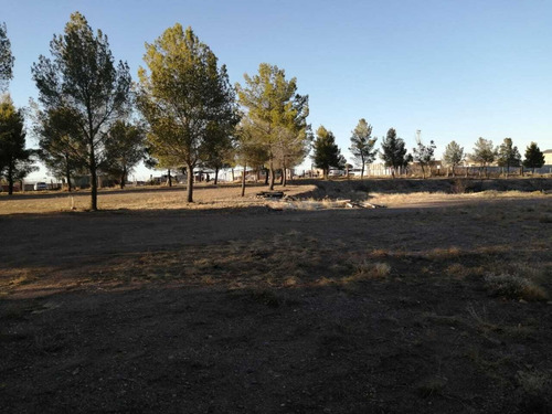 Imagen 16 de 17 de Terrenos En Venta Zona Reliz Chihuahua