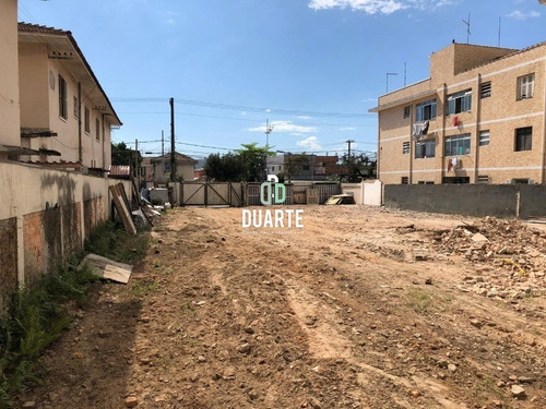 Imagem 5 de 6 de Terreno - Te00038 - 34939815