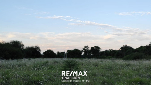 Venta Terreno De 800 M2 En Colonia Popular